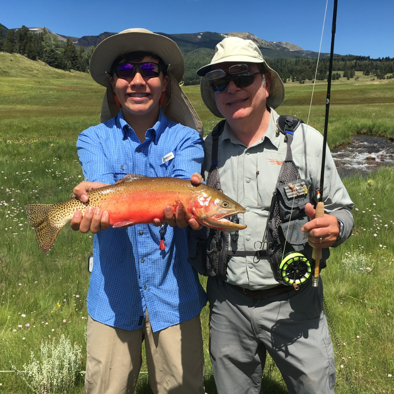 Population dynamics and life history characteristics of Rio Grande cutthroat trout in the upper Rio Costilla watershed, New Mexico