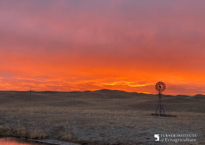 Deer Creek windmill at sunset - Turner Institute of Ecoagriculture