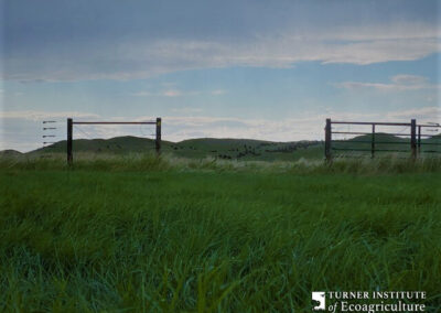 Fences at McGinley Ranch - Turner Institute of Ecoagriculture