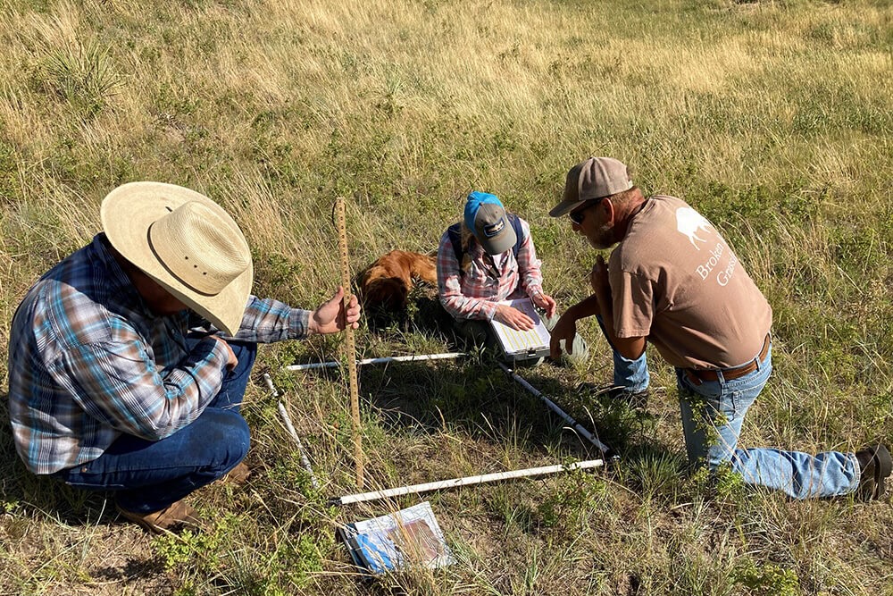Turner Institute of Ecoagriculture employees in the field