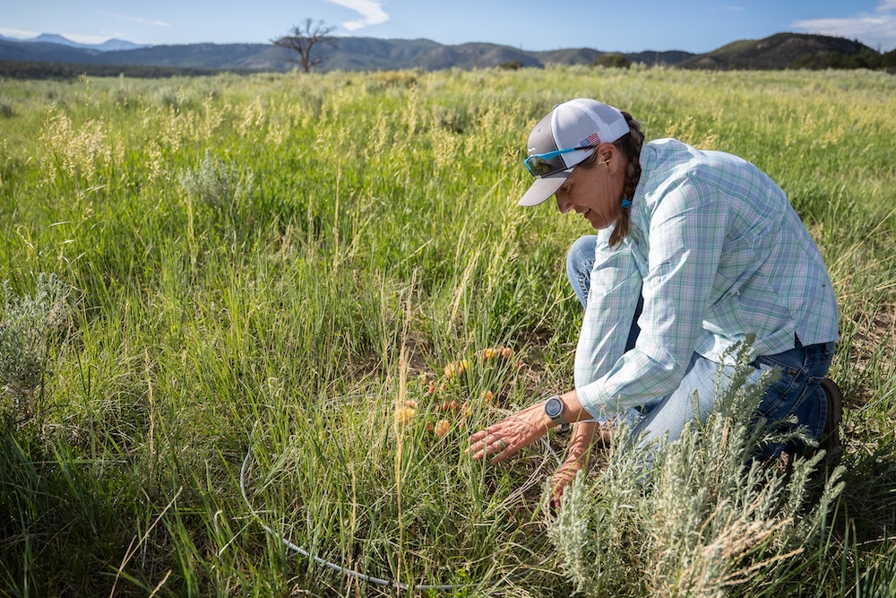 Turner Institute of Ecoagriculture employees in the field