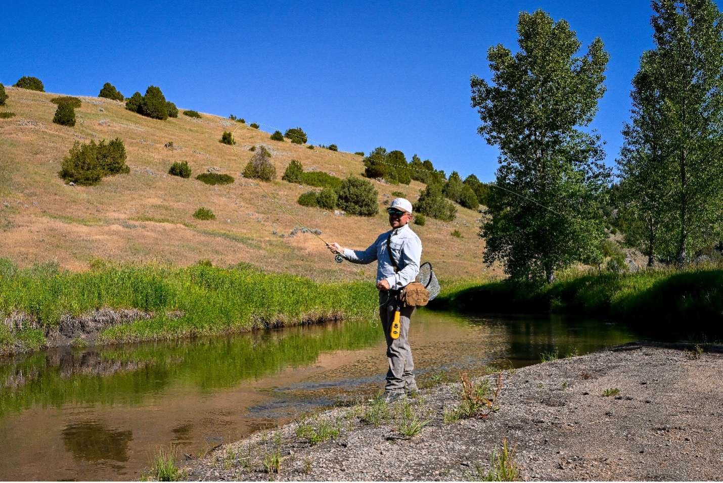 Understanding individual catchability and post-release mortality to assess population level angling impacts on trout in montana