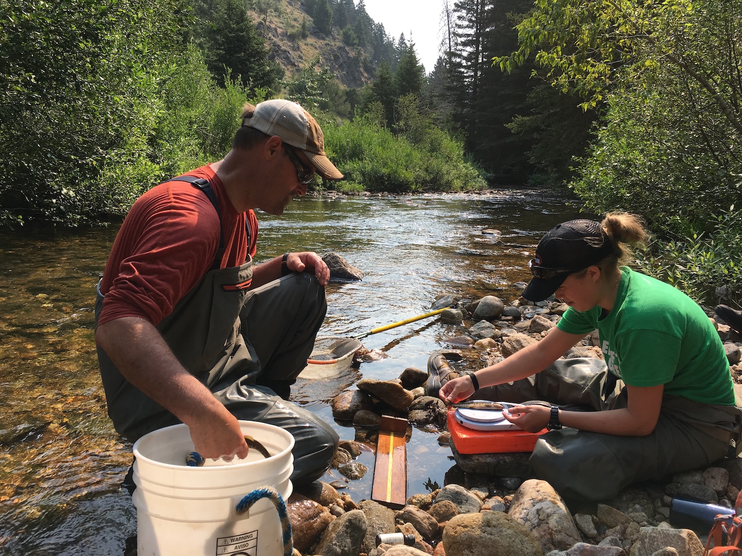 Dr. Carter Kruse, Director of Science and Conservation for the Turner Institute of Ecoagriculture honored as a 2026 Champions of Conservation by Garden & Gun Magazine